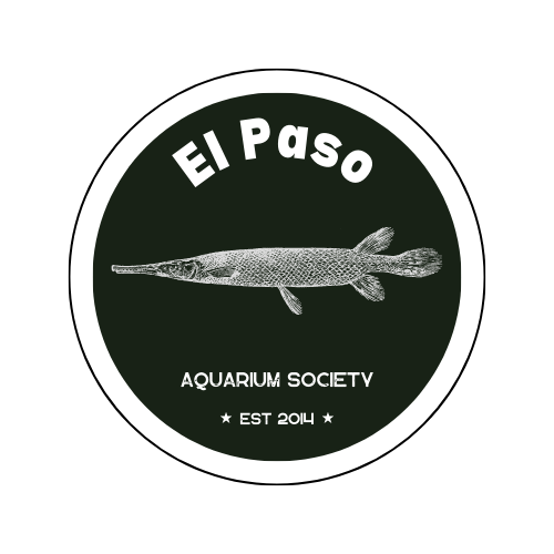 El Paso Aquarium Society
